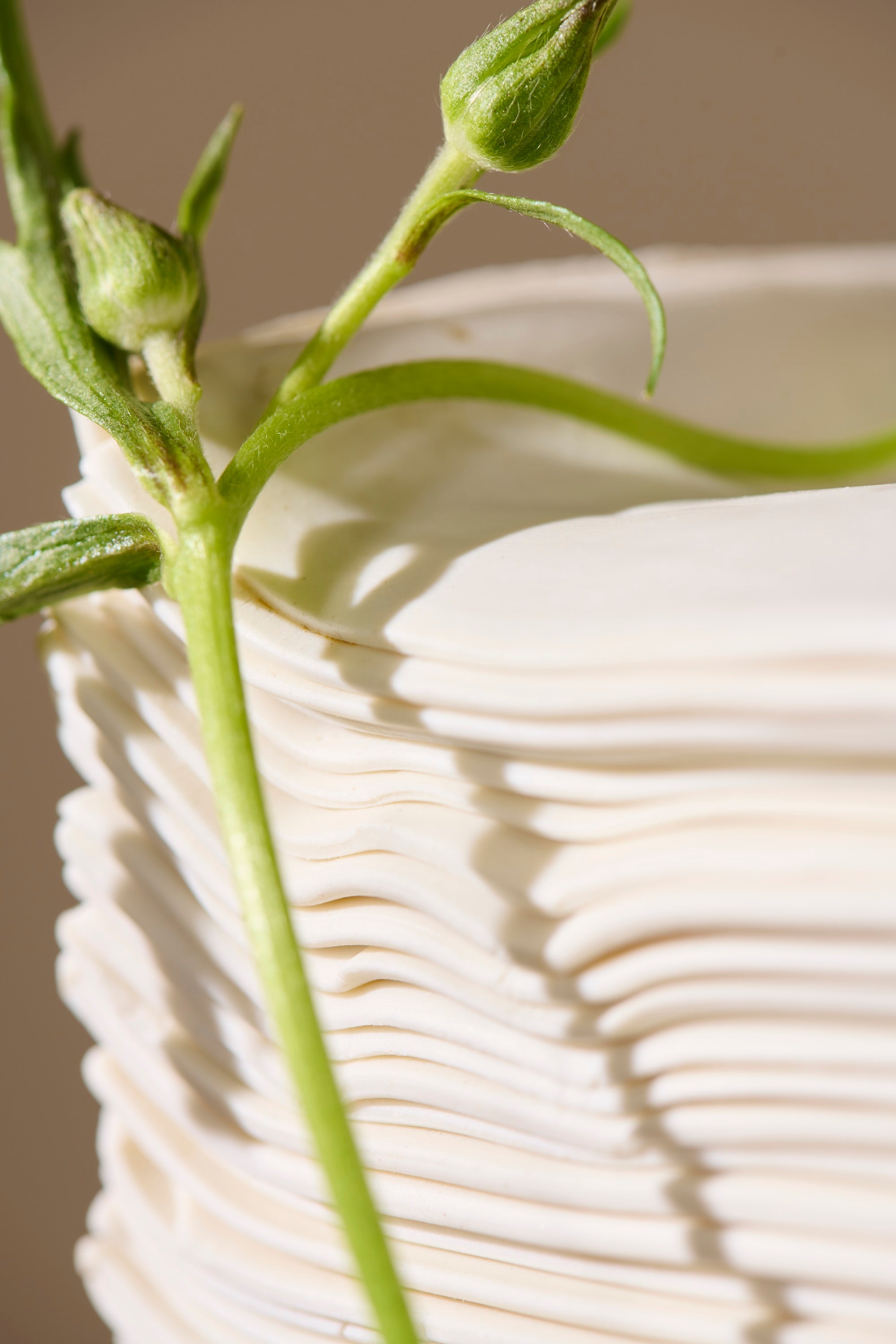 Close-up of Stack 11 showing layered porcelain elements with subtle texture and handmade edges shown with green stems and leaves.