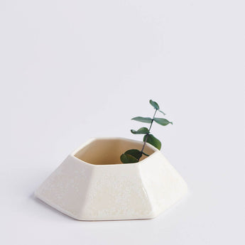 Frost White Geo Plant Dish - Lauren HB Studio Pottery